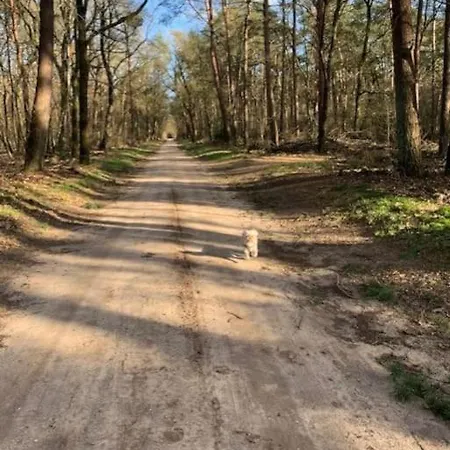Vrijstaande Bungalow Lely In Op De Veluwe Пюттен