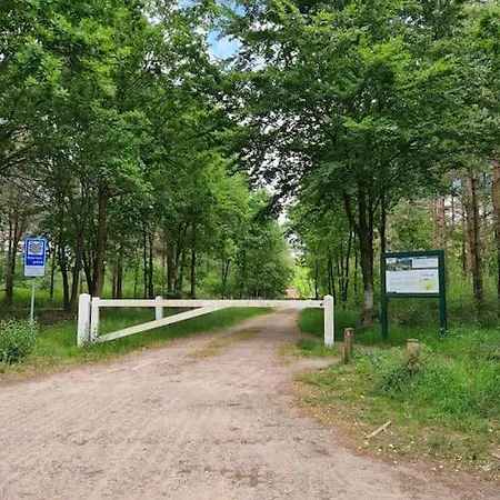 Vrijstaande Bungalow Lely In Op De Veluwe * Пюттен